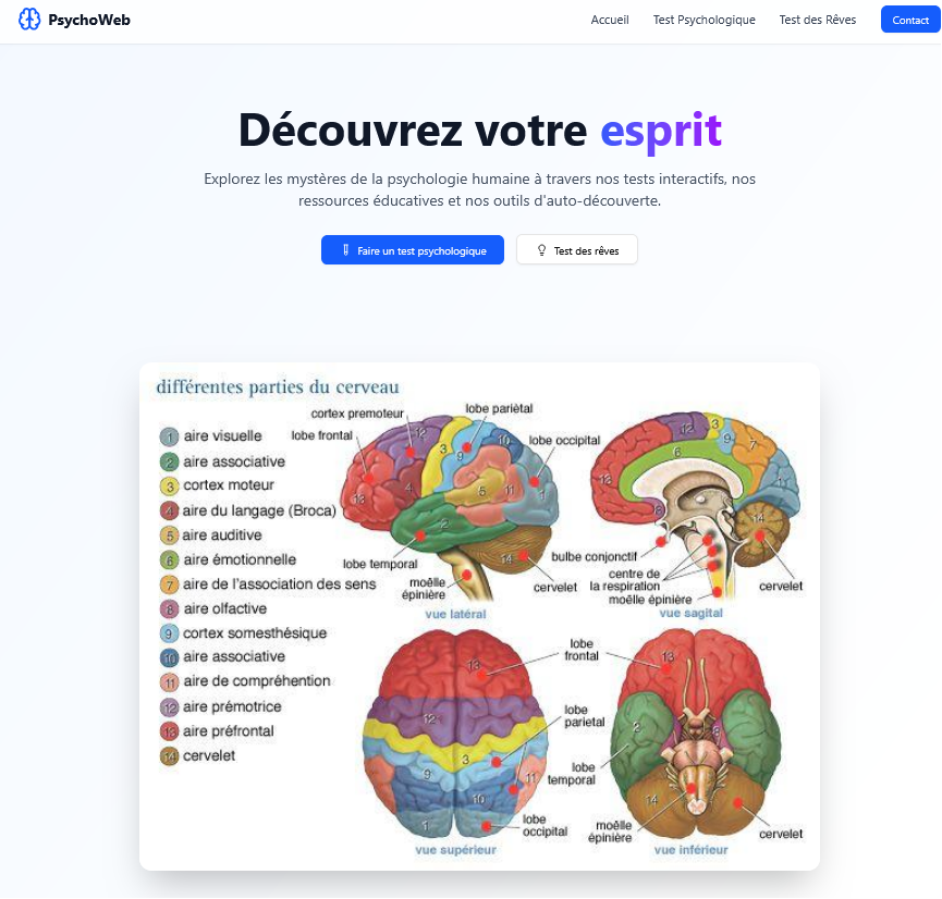 Découvrez votre esprit